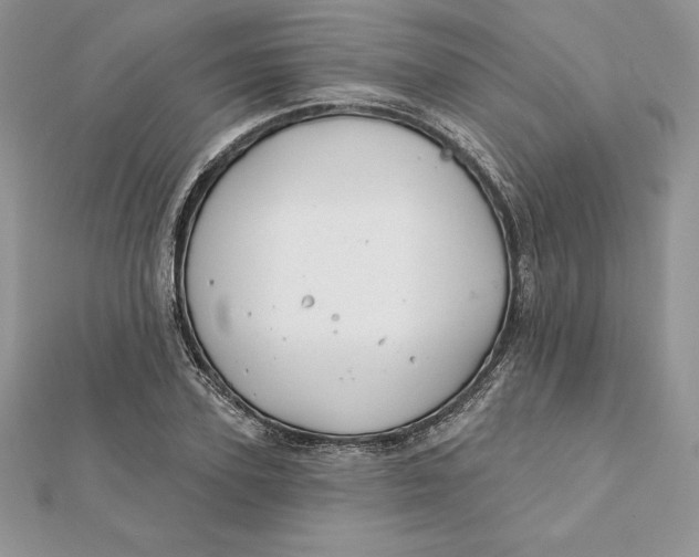 X0000112360931200909031907