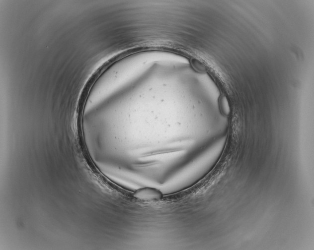 X0000112360932200909031907