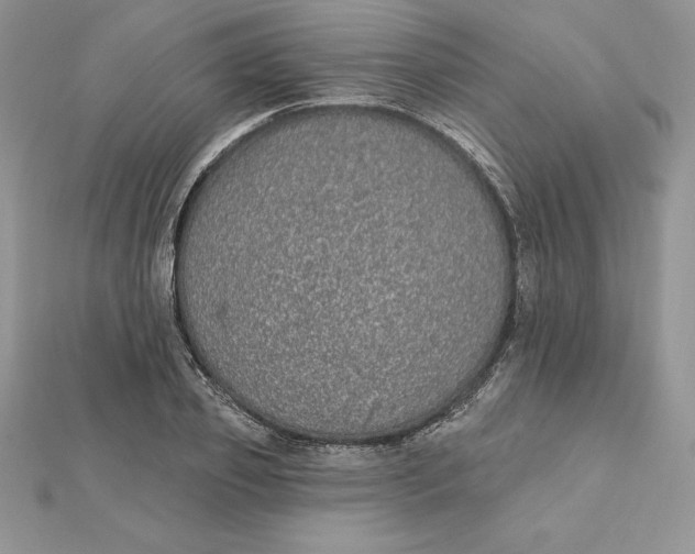 X0000112360933200909031907