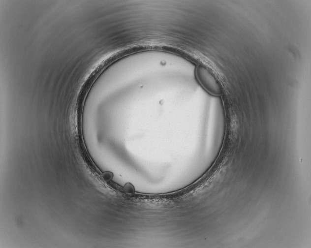 X0000112360934200909031907