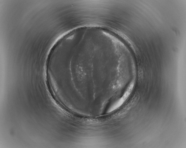 X0000112360935200909031907