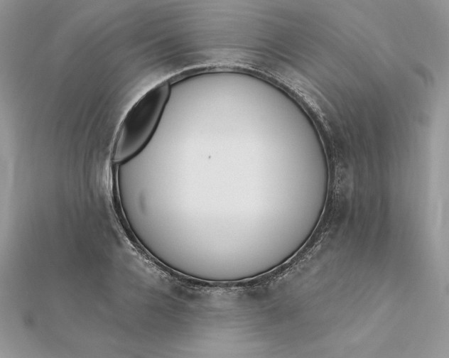 X0000112360936200909031907