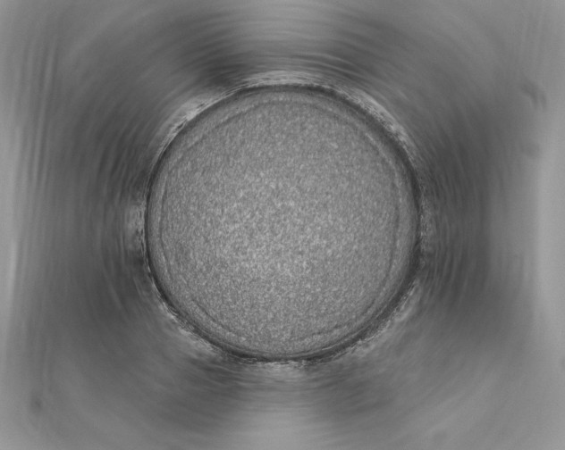 X0000112360937200909031907