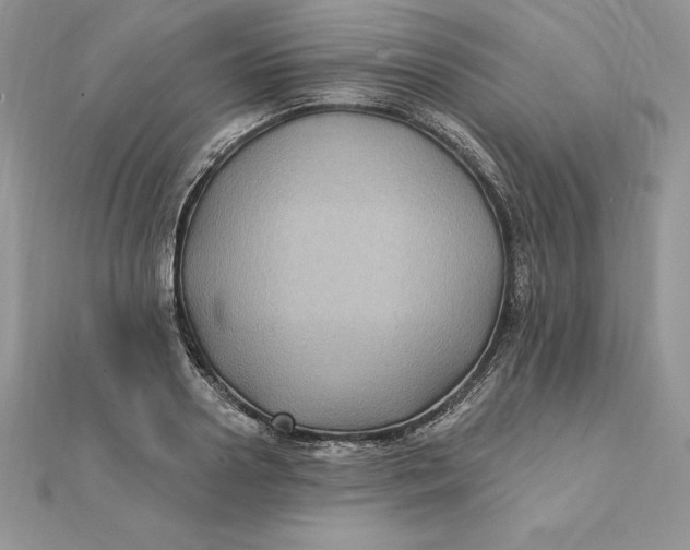 X0000112360938200909031907