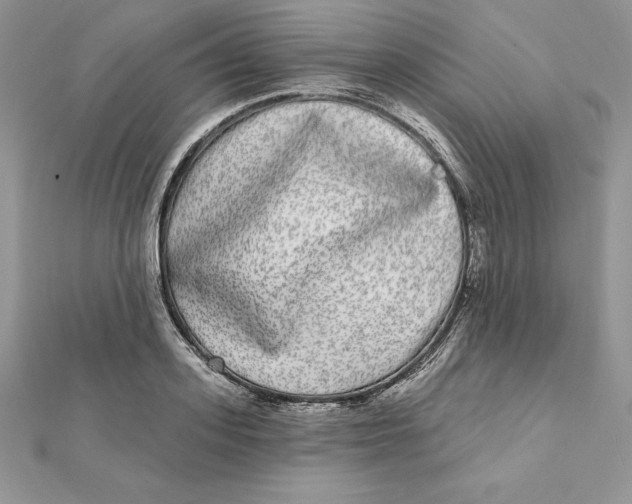 X0000112360939200909031907