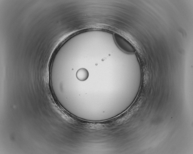 X0000112360940200909031907