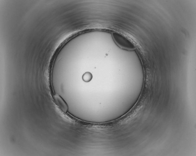 X0000112360942200909031907