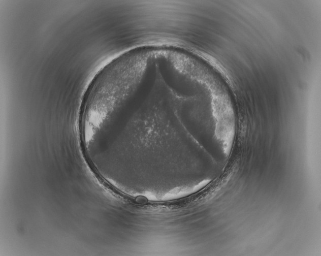 X0000112360943200909031907