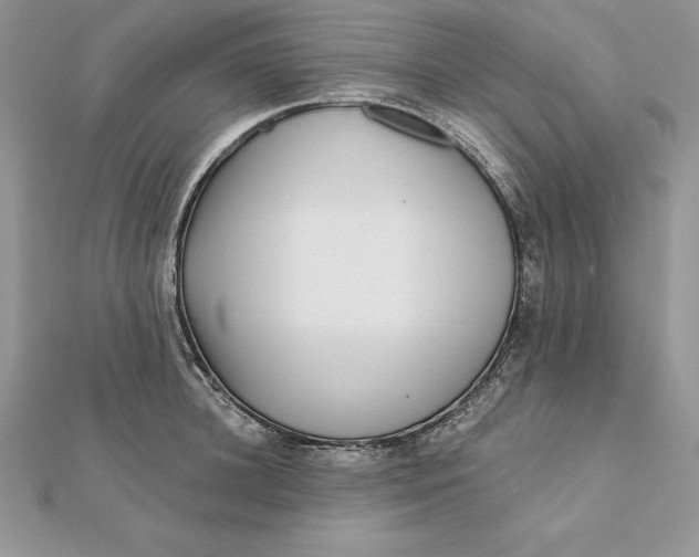 X0000112360948200909031907