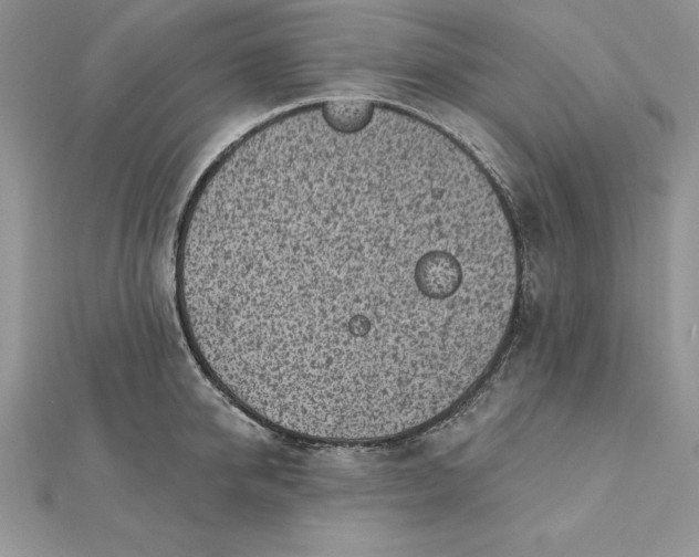 X0000112360950200909031907