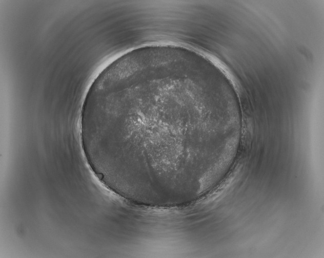 X0000112360951200909031907