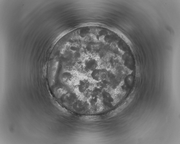 X0000112360953200909031907