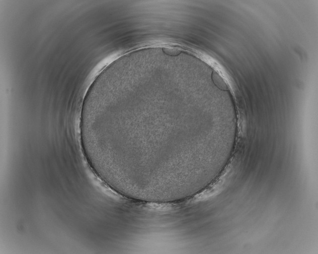 X0000112360954200909031907