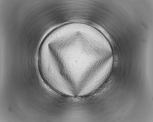 X0000112360955200909031907