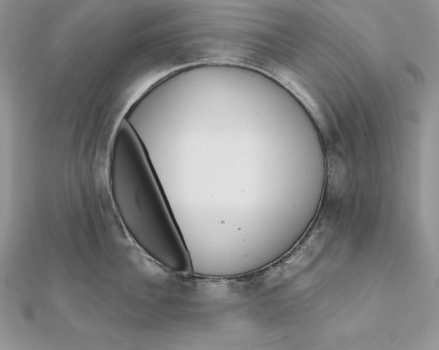 X0000112360956200909031907