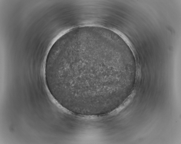 X0000112360957200909031907