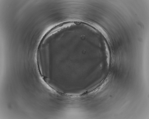 X0000112360958200909031907