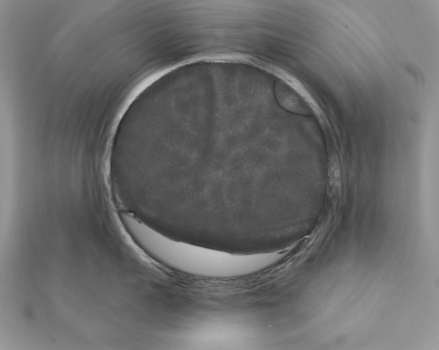 X0000112360959200909031907