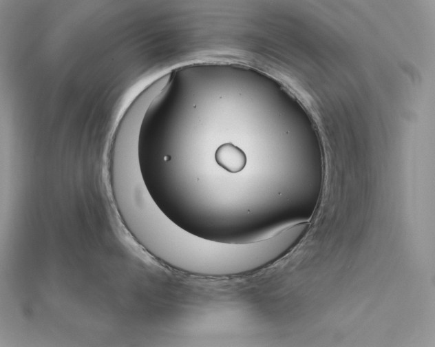 X0000112360960200909031907