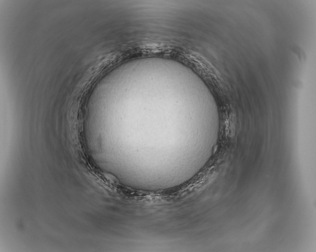 X0000112360961200909031907