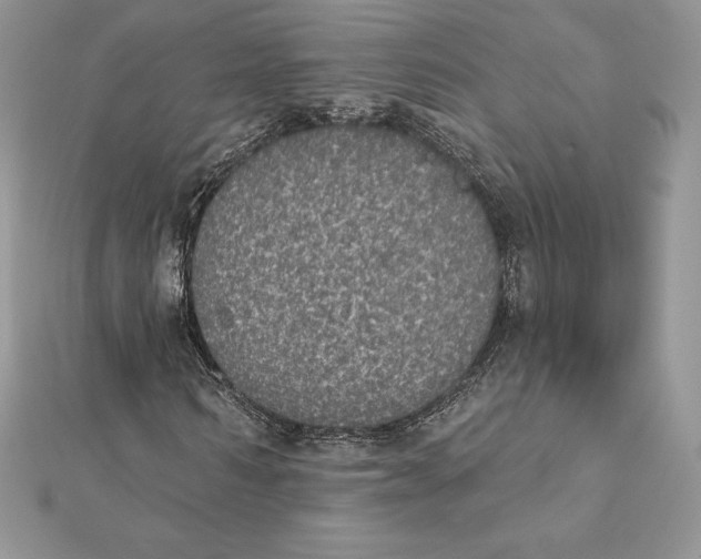 X0000112360962200909031907