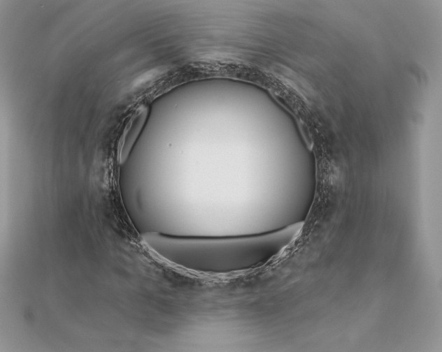 X0000112360965200909031906