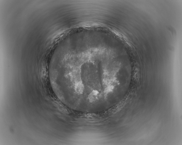 X0000112360966200909031906