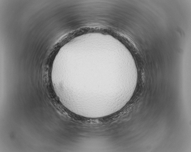 X0000112360968200909031906