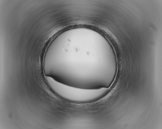 X0000112360969200909031906