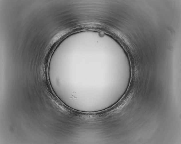 X0000112360970200909031906