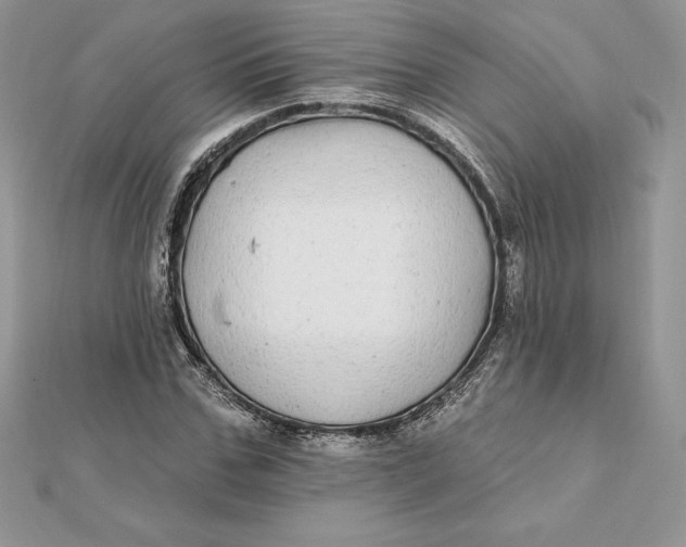 X0000112360971200909031906