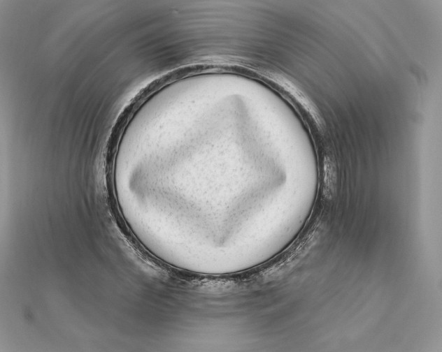 X0000112360972200909031906