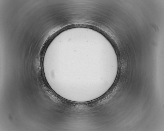 X0000112360974200909031906