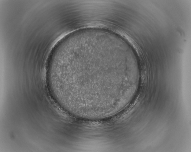 X0000112360975200909031906