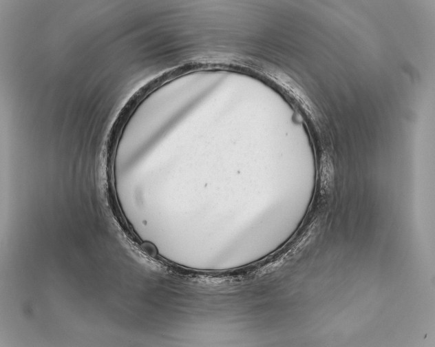 X0000112360976200909031906