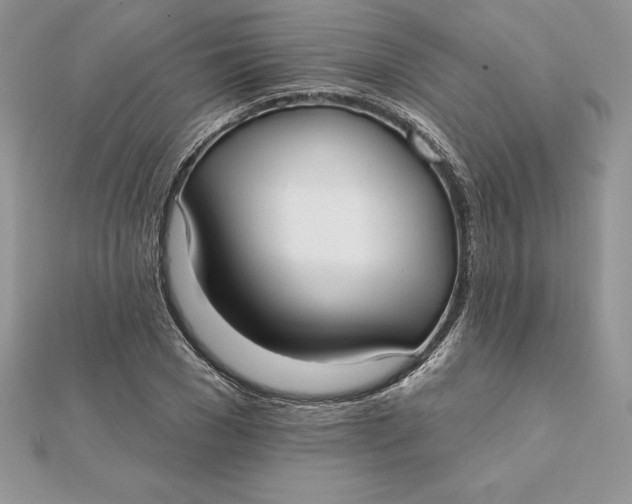 X0000112360977200909031906