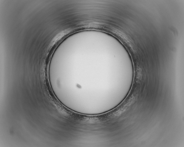 X0000112360978200909031906