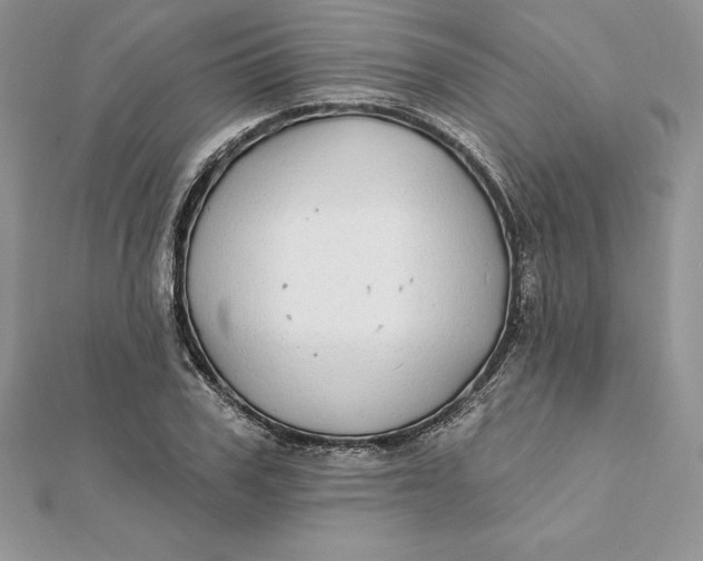 X0000112360979200909031906