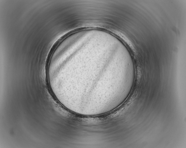 X0000112360980200909031906