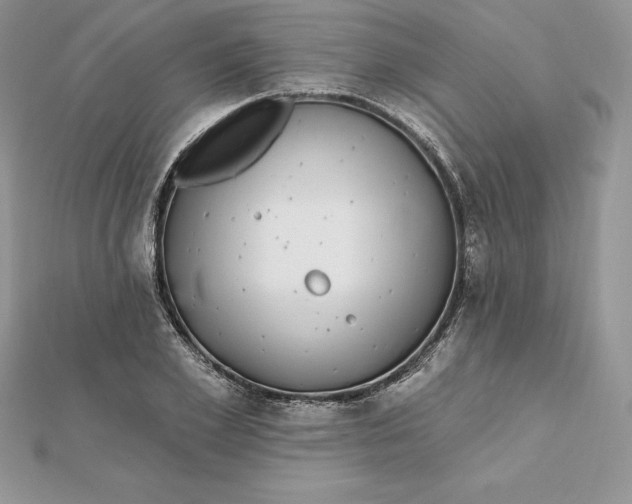 X0000112360981200909031906