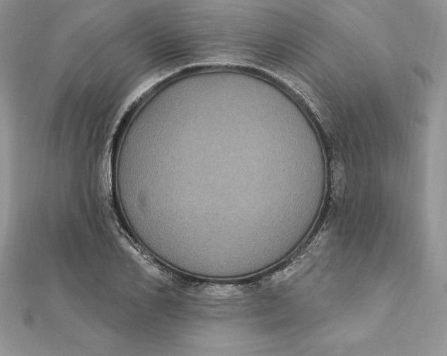 X0000112360982200909031906