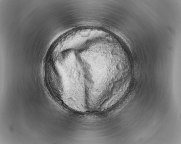 X0000112360983200909031906