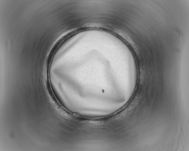 X0000112360984200909031906