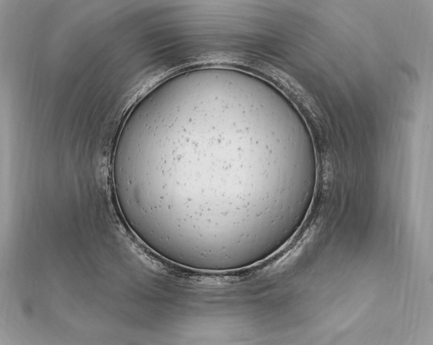 X0000112360985200909031906