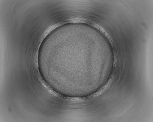 X0000112360986200909031906