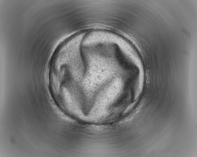 X0000112360987200909031906