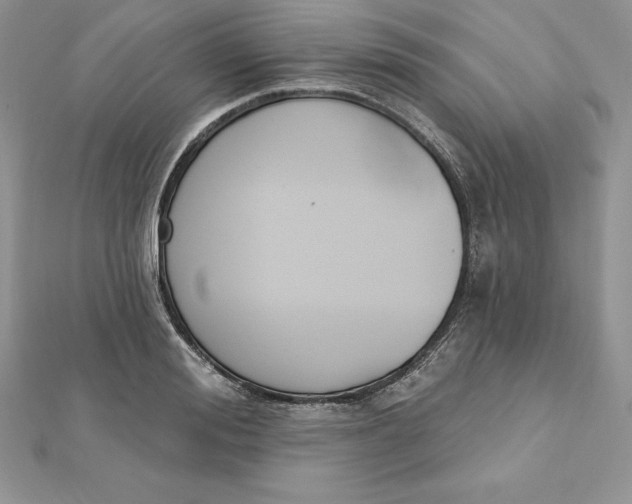 X0000112360988200909031906