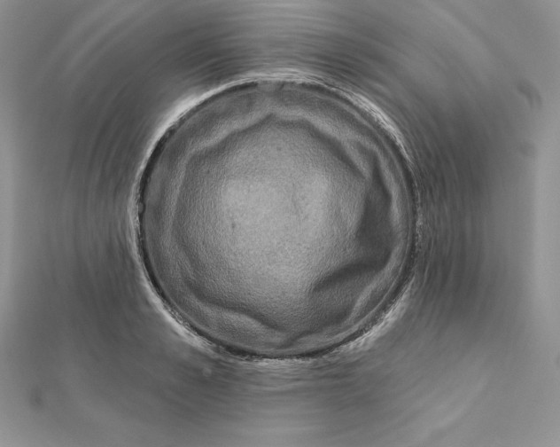 X0000112360989200909031906