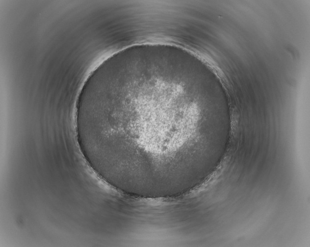 X0000112360990200909031906