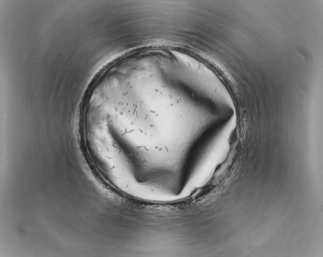 X0000112360991200909031906